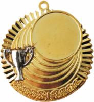 Медаль MD Rus.509