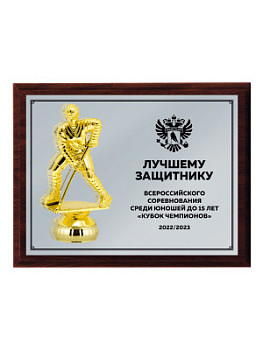 Плакетка подарочная - PL234-Z