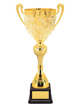 Кубок оригинальный - KM2799