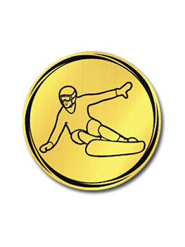 Вкладыш в медаль/ приз/ кубок - VK381/382-49