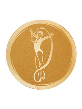 Вкладыш в медаль/ приз/ кубок - VK391-005