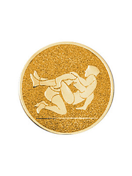 Вкладыш в медаль/ приз/ кубок - BM#A-80