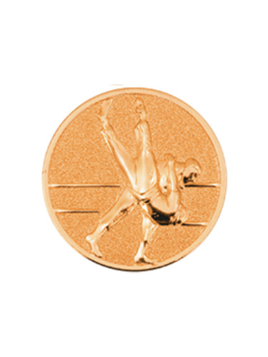 Вкладыш в медаль/ приз/ кубок - BM#A11-13