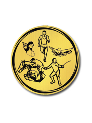 Вкладыш в медаль/ приз/ кубок - VK381/382-50