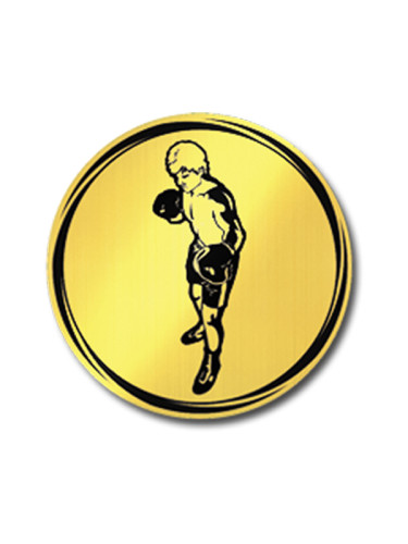 Вкладыш в медаль/ приз/ кубок - VK381/382-7