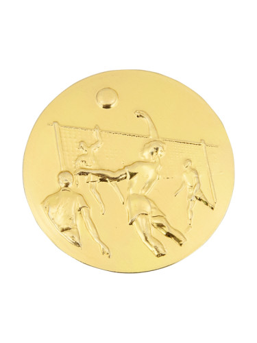 Вкладыш в медаль/ приз/ кубок - IN#A12-2Z-SG