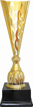 Кубок 585 Кубок 585
