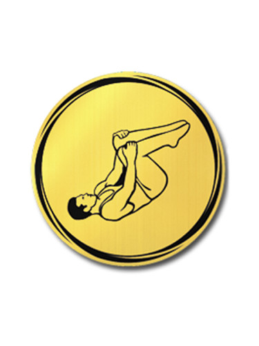 Вкладыш в медаль/ приз/ кубок - VK381/382-42