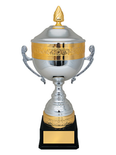 Кубок престижный - KM3030