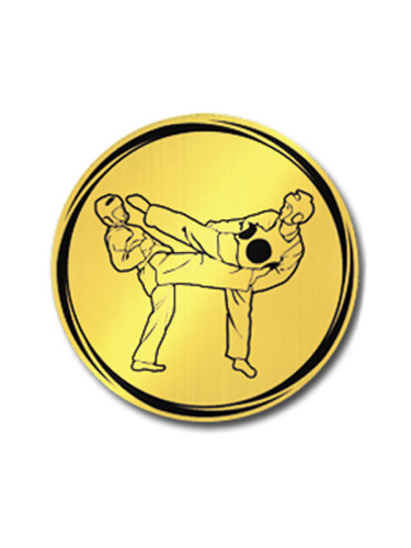 Вкладыш в медаль/ приз/ кубок - VK381/382-62