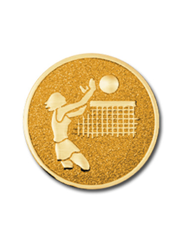 Вкладыш в медаль/ приз/ кубок - BM#A-20