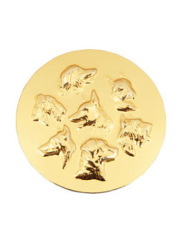 Вкладыш в медаль/ приз/ кубок - IN#A12-51Z-SG