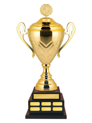 Кубок переходящий - КМ2806-Z