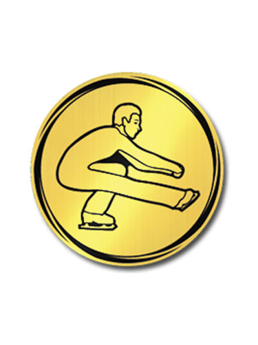 Вкладыш в медаль/ приз/ кубок - VK381/382-66