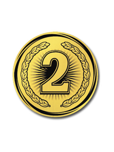 Вкладыш в медаль/ приз/ кубок - VK381/382-32