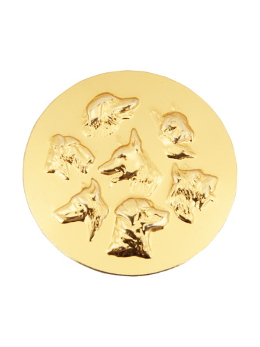 Вкладыш в медаль/ приз/ кубок - IN#A12-51Z-SG