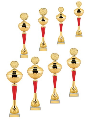 Кубок расширенной серии - KM2899-Z1