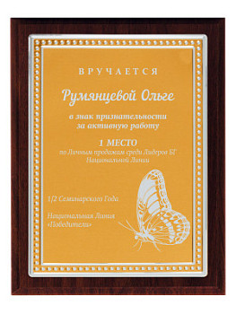 Плакетка подарочная - PL480