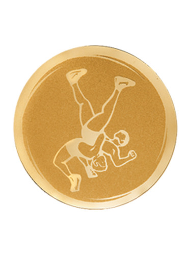 Вкладыш в медаль/ приз/ кубок - VK391-002