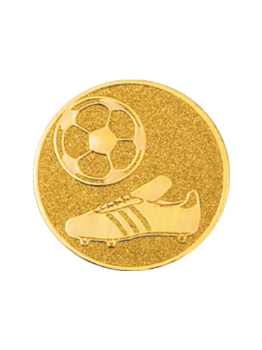 Вкладыш в медаль/ приз/ кубок - BM#A-147