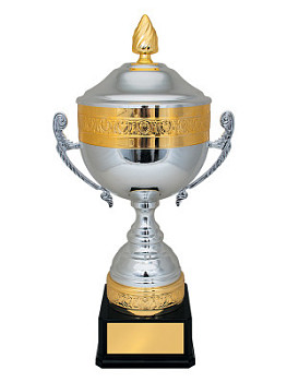 Кубок престижный - KM3030