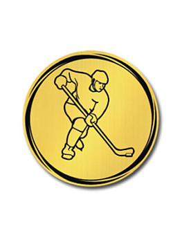 Вкладыш в медаль/ приз/ кубок - VK381/382-74