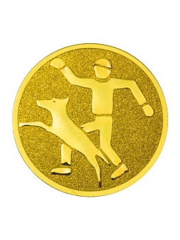 Вкладыш в медаль/ приз/ кубок - BM#A-166