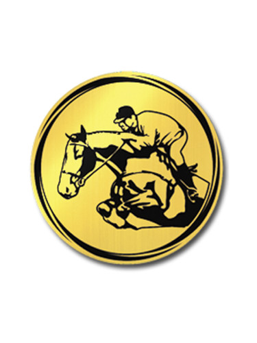 Вкладыш в медаль/ приз/ кубок - VK381/382-24