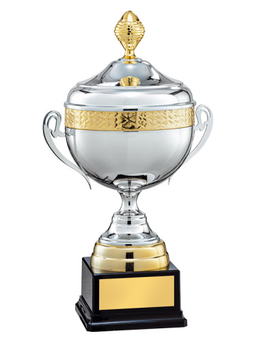 Кубок престижный - KM2824