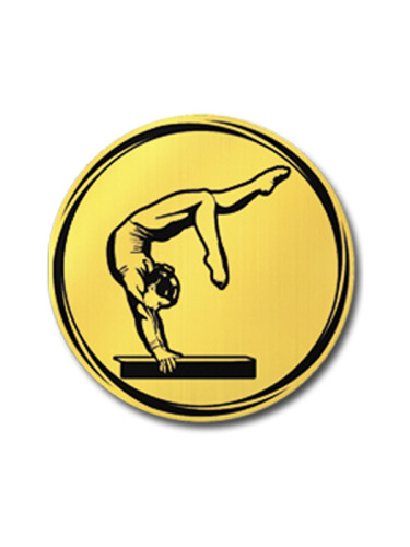 Вкладыш в медаль/ приз/ кубок - VK381/382-51