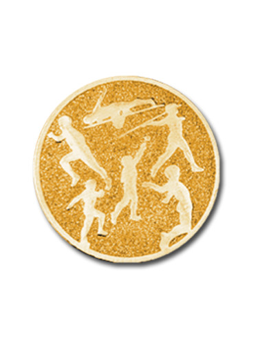 Вкладыш в медаль/ приз/ кубок - BM#A-6