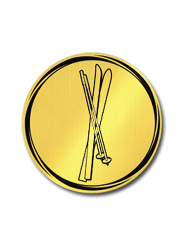 Вкладыш в медаль/ приз/ кубок - VK381/382-28