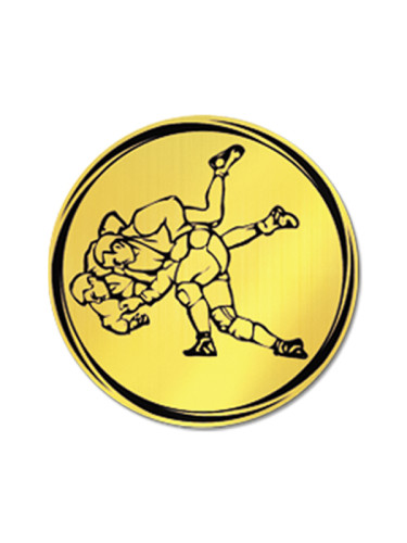 Вкладыш в медаль/ приз/ кубок - VK381/382-85