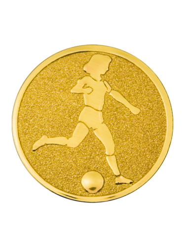 Вкладыш в медаль/ приз/ кубок - BM#A-2