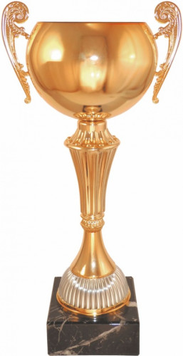 Кубок 510  металл