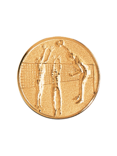 Вкладыш в медаль/ приз/ кубок - BM#A11-2