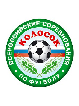 Вкладыш бумажный 50 мм на заказ Вкладыш бумажный 50 мм на заказ