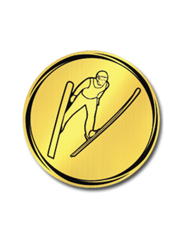 Вкладыш в медаль/ приз/ кубок - VK381/382-43