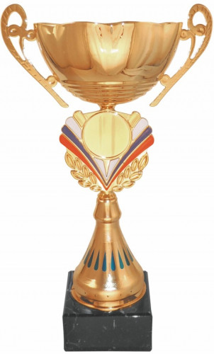 Кубок 506  металл