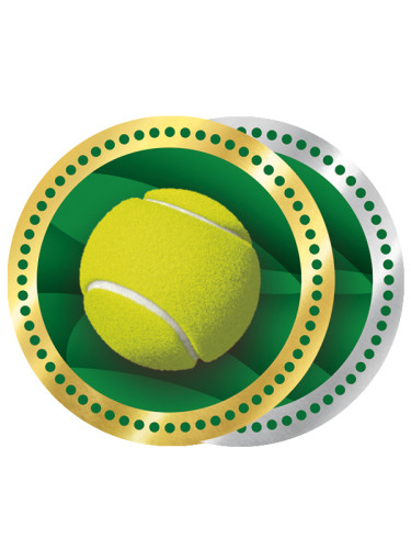 Вкладыш в медаль/ приз/ кубок - Эскиз-521/522-34