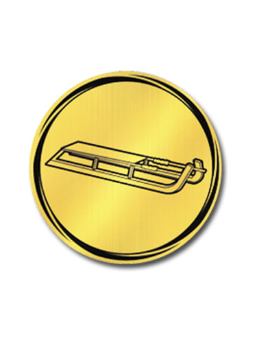 Вкладыш в медаль/ приз/ кубок - VK381/382-46