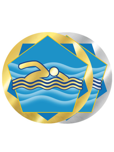 Вкладыш в медаль/ приз/ кубок - Эскиз-521/522-23