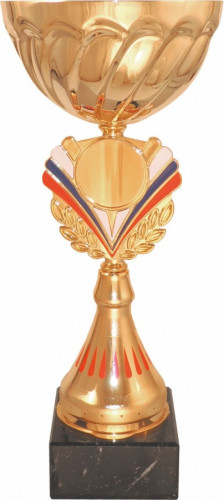 Кубок 507  металл