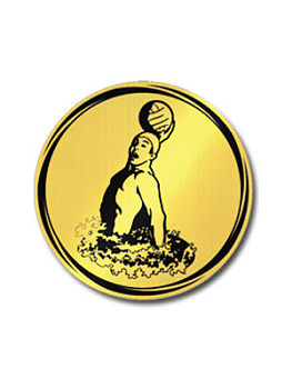 Вкладыш в медаль/ приз/ кубок - VK381/382-11