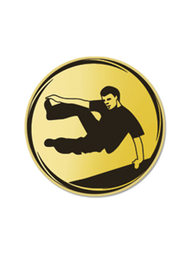 Вкладыш в медаль/ приз/ кубок -VK381/382-90