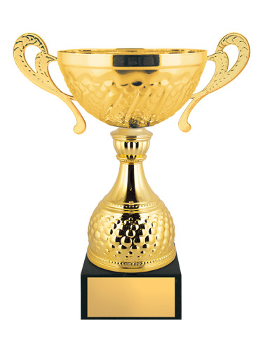 Кубок расширенной серии - KM2896-Z