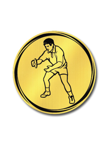 Вкладыш в медаль/ приз/ кубок - VK381/382-35