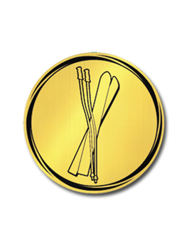 Вкладыш в медаль/ приз/ кубок - VK381/382-17