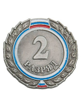 Знак - 2-й разряд Знак - 2-й разряд