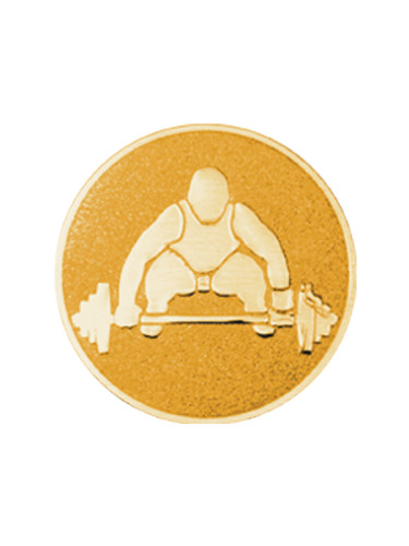 Вкладыш в медаль/ приз/ кубок - BM#A-146